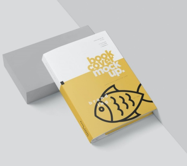 Mẫu Hộp Cứng - 03